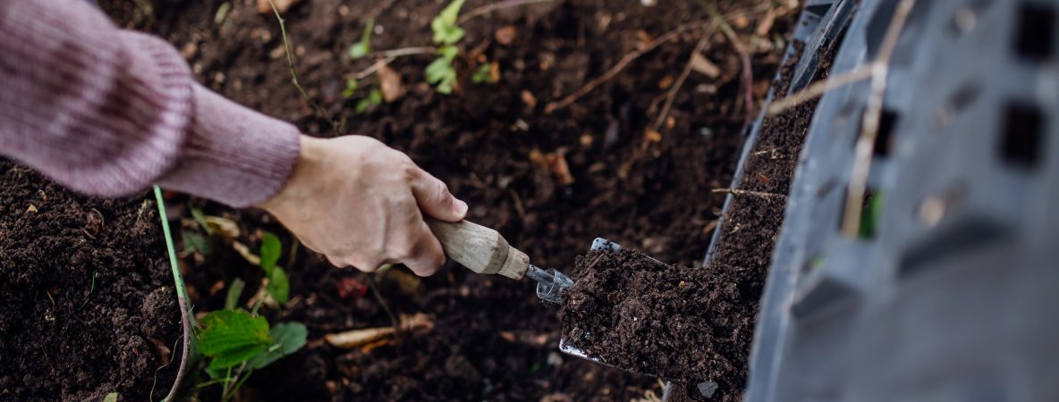 Compostagem coletiva