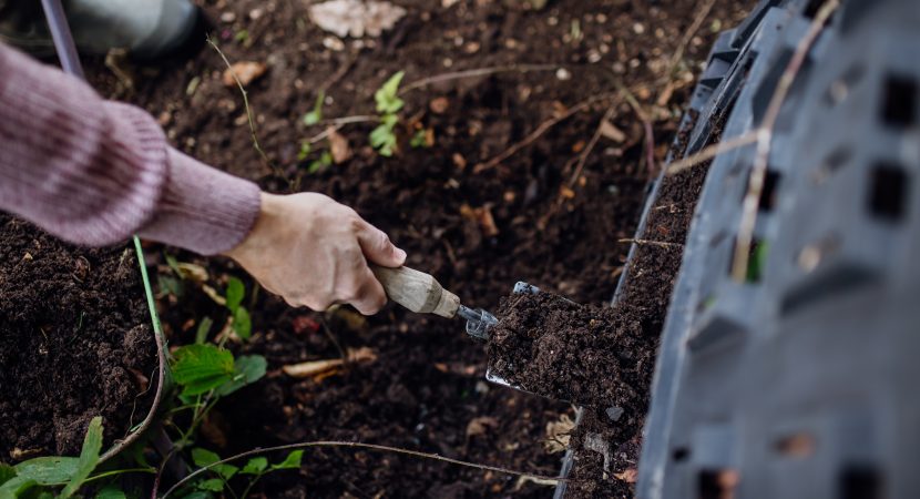 Compostagem coletiva